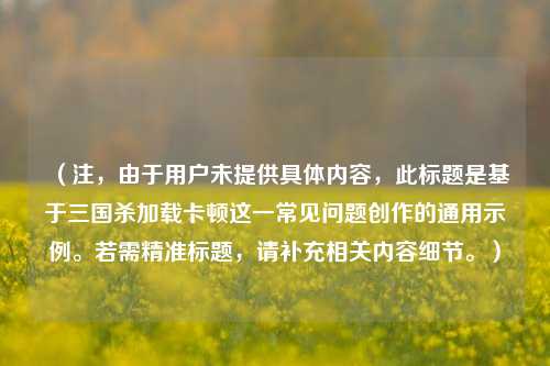 (注,由于用户未提供具体内容,此标题是基于三国杀加载卡顿这一常见问题创作的通用示例。若需精准标题,请补充相关内容细节。)