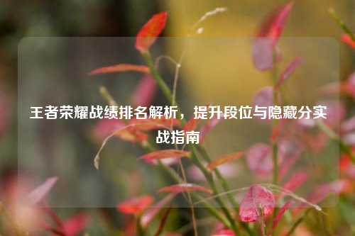 王者荣耀战绩排名解析,提升段位与隐藏分实战指南