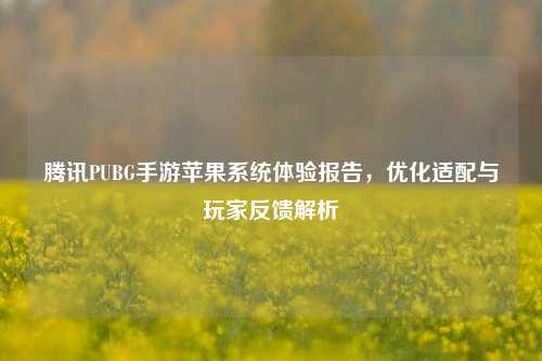 腾讯PUBG手游苹果系统体验报告,优化适配与玩家反馈解析