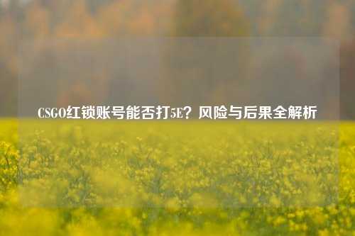 CSGO红锁账号能否打5E?风险与后果全解析