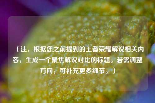 (注,根据您之前提到的王者荣耀解说相关内容,生成一个聚焦解说对比的标题。若需调整方向,可补充更多细节。)