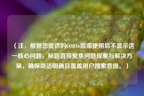 (注,根据您提供的COD16喷漆使用后不显示这一核心问题,标题直接聚焦问题现象与解决方案,确保简洁明确且覆盖用户搜索意图。)