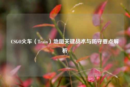 CSGO火车(Train)地图关键战术与防守要点解析