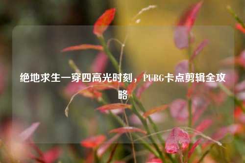 绝地求生一穿四高光时刻,PUBG卡点剪辑全攻略