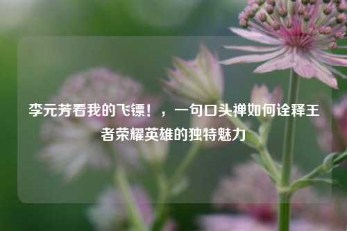 李元芳看我的飞镖!,一句口头禅如何诠释王者荣耀英雄的独特魅力