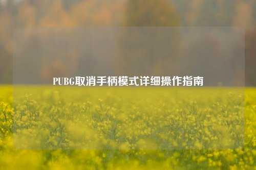 PUBG取消手柄模式详细操作指南