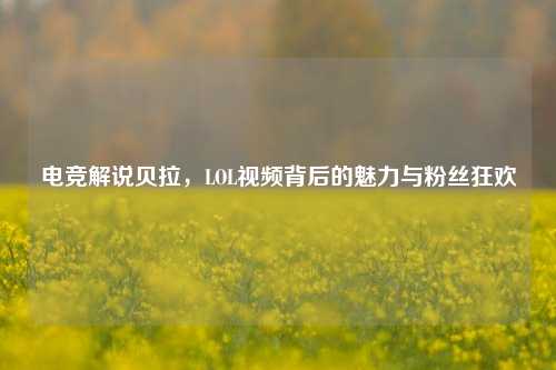 电竞解说贝拉,LOL视频背后的魅力与粉丝狂欢