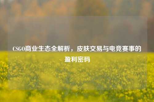 CSGO商业生态全解析,皮肤交易与电竞赛事的盈利密码