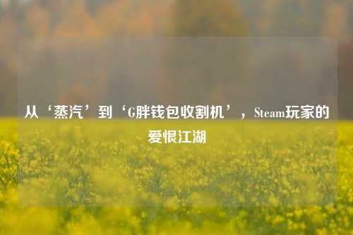 从‘蒸汽’到‘G胖钱包收割机’,Steam玩家的爱恨江湖
