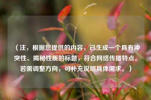 (注,根据您提供的内容,已生成一个具有冲突性、揭秘性质的标题,符合网络传播特点。若需调整方向,可补充说明具体需求。)