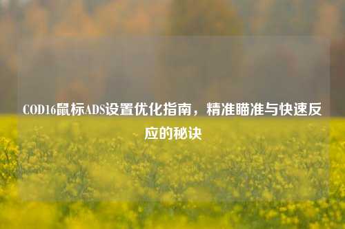 COD16鼠标ADS设置优化指南,精准瞄准与快速反应的秘诀