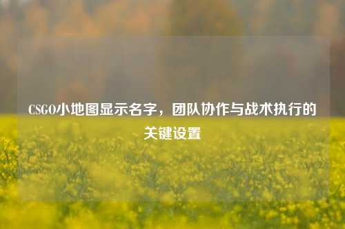 CSGO小地图显示名字,团队协作与战术执行的关键设置