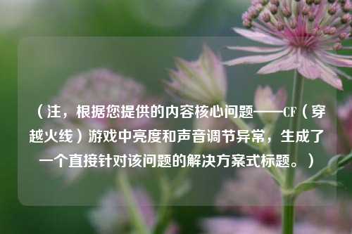 (注,根据您提供的内容核心问题——CF(穿越火线)游戏中亮度和声音调节异常,生成了一个直接针对该问题的解决方案式标题。)