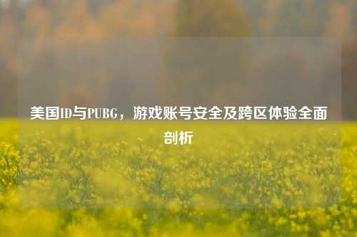 美国ID与PUBG,游戏账号安全及跨区体验全面剖析