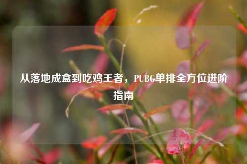 从落地成盒到吃鸡王者,PUBG单排全方位进阶指南
