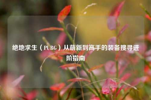 绝地求生(PUBG)从萌新到高手的装备搜寻进阶指南