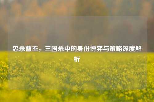 忠杀曹丕,三国杀中的身份博弈与策略深度解析