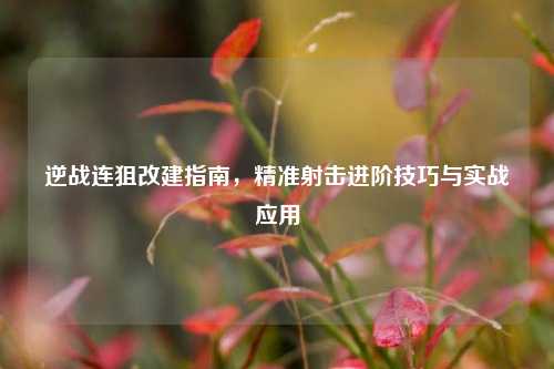 逆战连狙改建指南,精准射击进阶技巧与实战应用