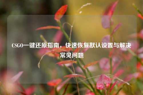 CSGO一键还原指南,快速恢复默认设置与解决常见问题