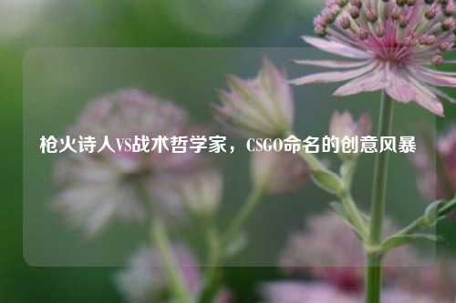 枪火诗人VS战术哲学家,CSGO命名的创意风暴