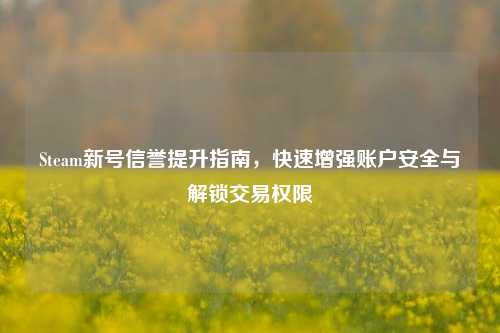 Steam新号信誉提升指南,快速增强账户安全与解锁交易权限