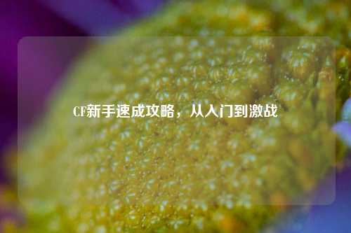 CF新手速成攻略,从入门到激战