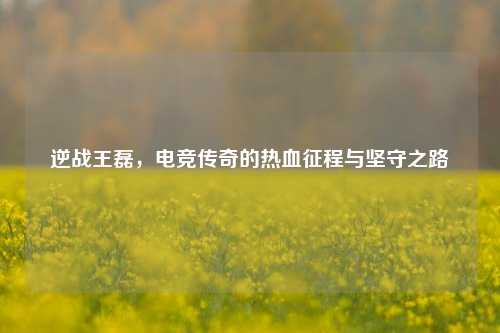 逆战王磊,电竞传奇的热血征程与坚守之路
