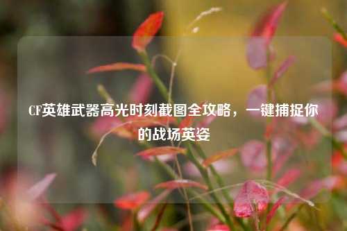 CF英雄武器高光时刻截图全攻略,一键捕捉你的战场英姿