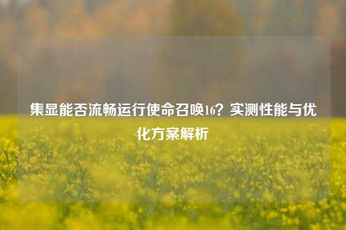 集显能否流畅运行使命召唤16?实测性能与优化方案解析