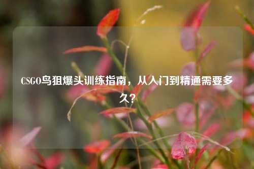 CSGO鸟狙爆头训练指南,从入门到精通需要多久?