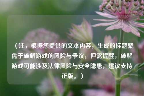 (注,根据您提供的文本内容,生成的标题聚焦于破解游戏的风险与争议,但需提醒,破解游戏可能涉及法律风险与安全隐患,建议支持正版。)