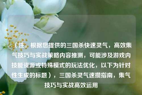 (注,根据您提供的三国杀快速灵气,高效集气技巧与实战策略内容推测,可能涉及游戏内技能资源或特殊模式的玩法优化,以下为针对性生成的标题),三国杀灵气速攒指南,集气技巧与实战高效运用