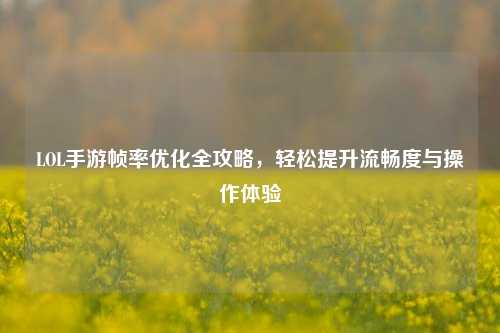 LOL手游帧率优化全攻略,轻松提升流畅度与操作体验