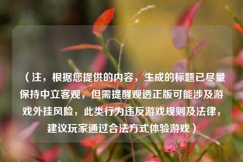 (注,根据您提供的内容,生成的标题已尽量保持中立客观,但需提醒观透正版可能涉及游戏外挂风险,此类行为违反游戏规则及法律,建议玩家通过合法方式体验游戏)