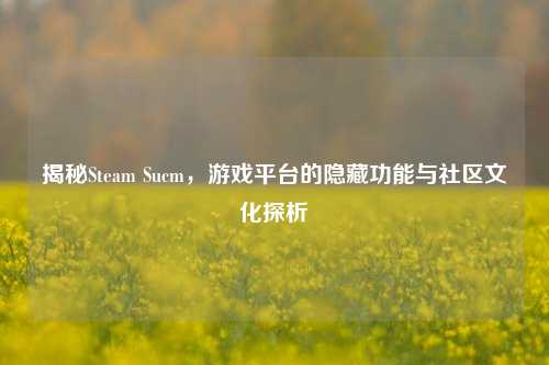 揭秘Steam Sucm,游戏平台的隐藏功能与社区文化探析