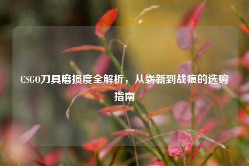 CSGO刀具磨损度全解析,从崭新到战痕的选购指南