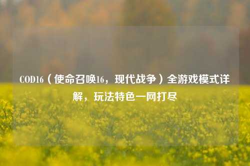 COD16(使命召唤16,现代战争)全游戏模式详解,玩法特色一网打尽