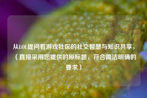 从LOL提问看游戏社区的社交智慧与知识共享,(直接采用您提供的原标题,符合简洁明确的要求)