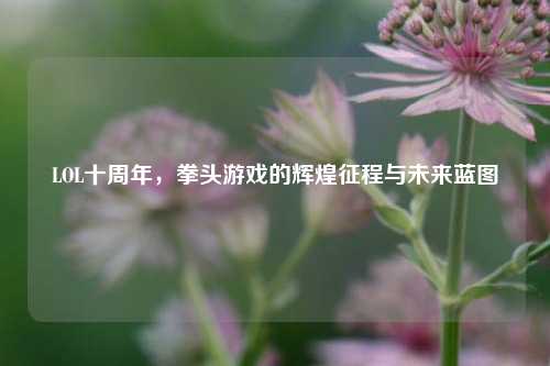 LOL十周年,拳头游戏的辉煌征程与未来蓝图