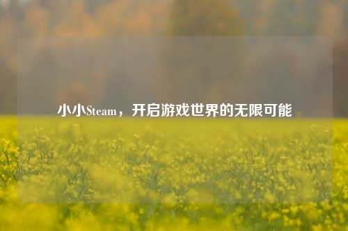 小小Steam,开启游戏世界的无限可能
