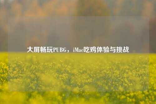 大屏畅玩PUBG,iMac吃鸡体验与挑战