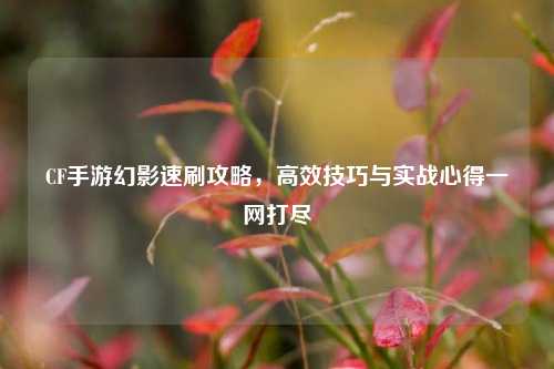 CF手游幻影速刷攻略,高效技巧与实战心得一网打尽