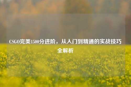 CSGO完美1500分进阶,从入门到精通的实战技巧全解析