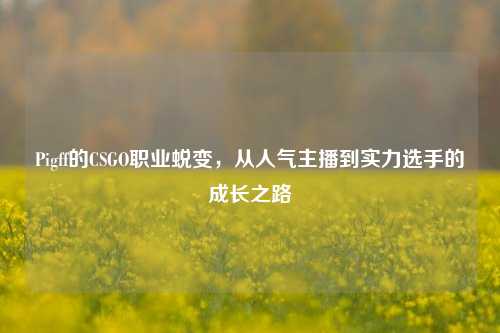 Pigff的CSGO职业蜕变,从人气主播到实力选手的成长之路