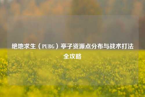 绝地求生(PUBG)亭子资源点分布与战术打法全攻略