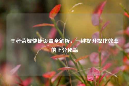 王者荣耀快捷设置全解析,一键提升操作效率的上分秘籍
