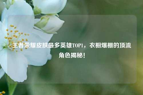 王者荣耀皮肤最多英雄TOP1,衣橱爆棚的顶流角色揭秘!