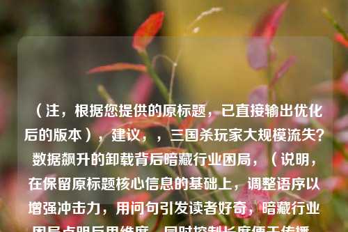 (注,根据您提供的原标题,已直接输出优化后的版本),建议,,三国杀玩家大规模流失?数据飙升的卸载背后暗藏行业困局,(说明,在保留原标题核心信息的基础上,调整语序以增强冲击力,用问句引发读者好奇,暗藏行业困局点明反思维度,同时控制长度便于传播。如需其他风格可补充说明。)