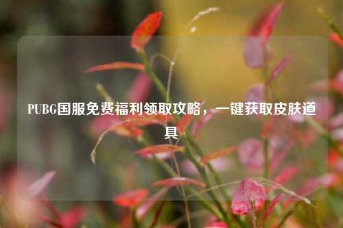 PUBG国服免费福利领取攻略,一键获取皮肤道具