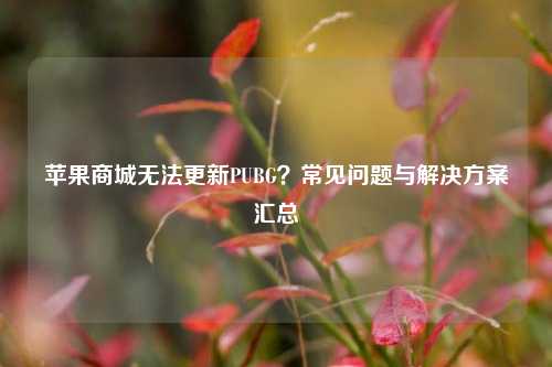 苹果商城无法更新PUBG?常见问题与解决方案汇总